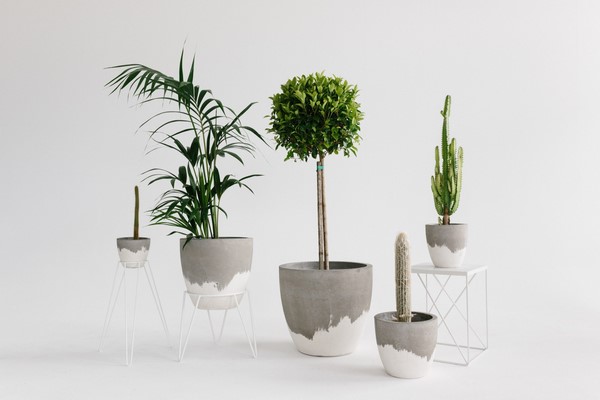 DIY planters for houseplants from concrete