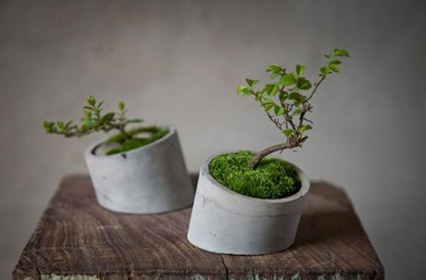 Easy DIY concrete planters ideas table decorating ideas