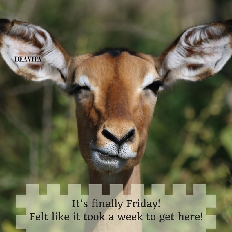 It is finally Friday fun photos cards