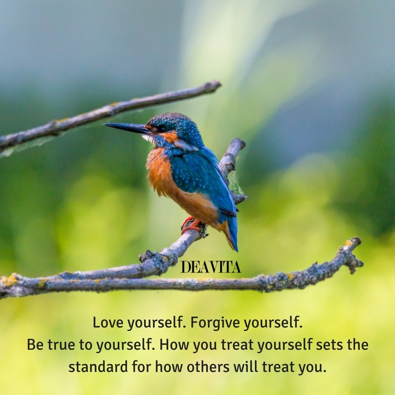 Love and forgive yourself quotes with cards