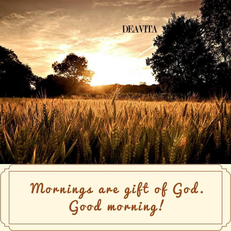 Mornings are gift of God best sayings and quotes for new day motivation