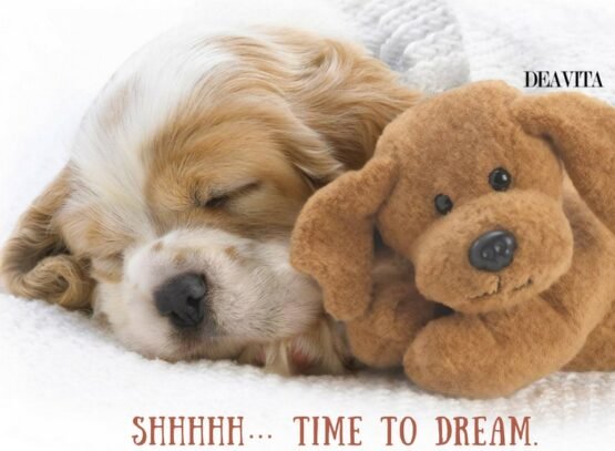 adorable-good-night-cards-and-texts-Shhhhh-Time-to-dream