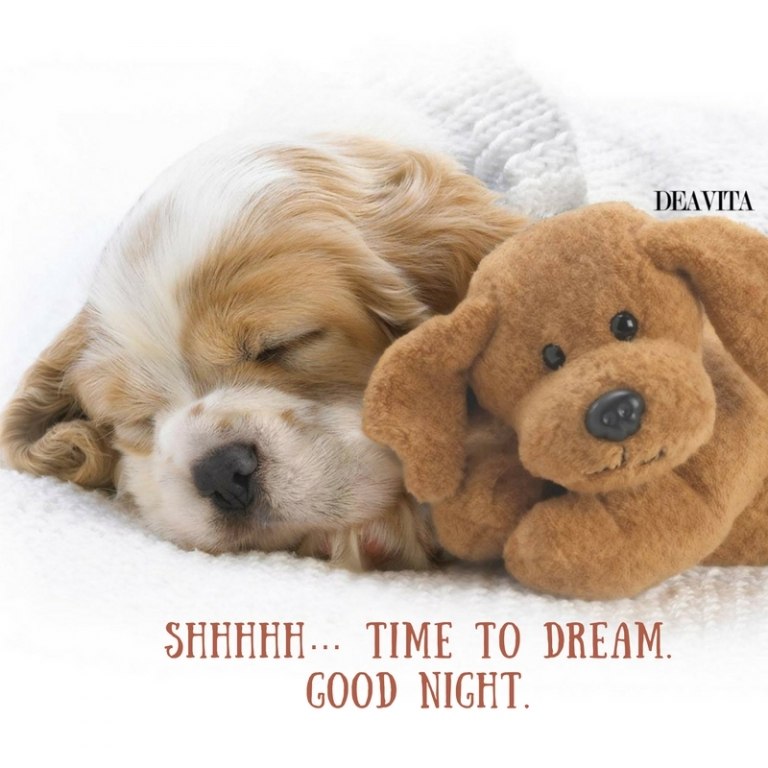 adorable good night cards and texts Shhhhh Time to dream