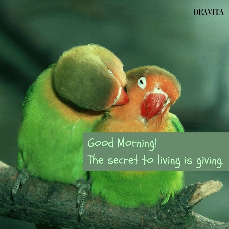 best good morning quotes and greeting cards for the new day