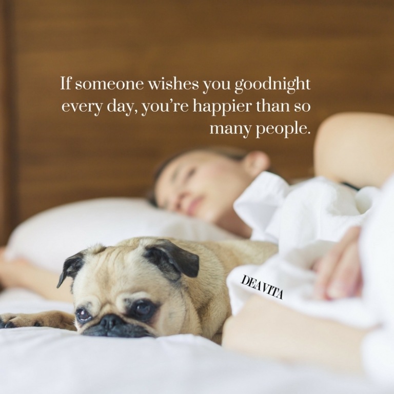 cool cards and good night sayings If someone wishes you goodnight