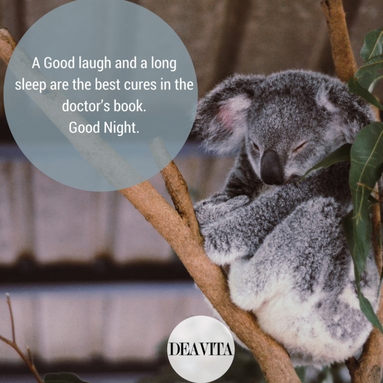 cute good night quotes A Good laugh and a long sleep