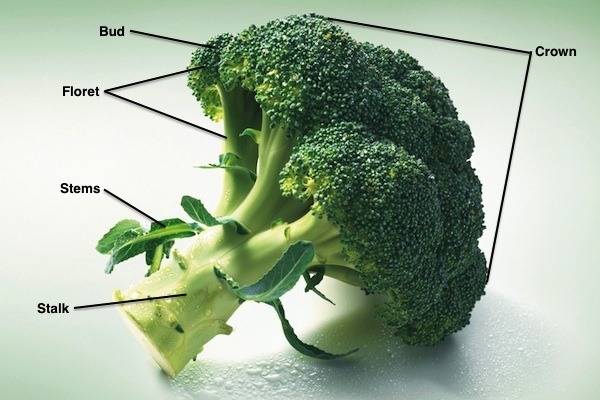healthy ways to cook broccoli and keep the vitamins
