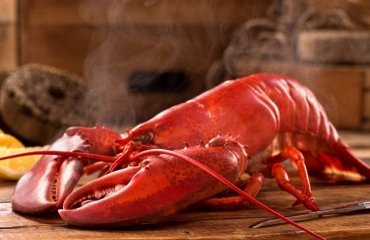 how-to-boil-a-lobster