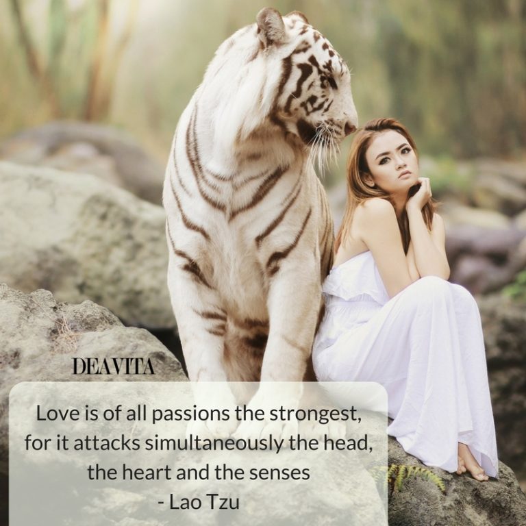 love and passion short quotes with photos