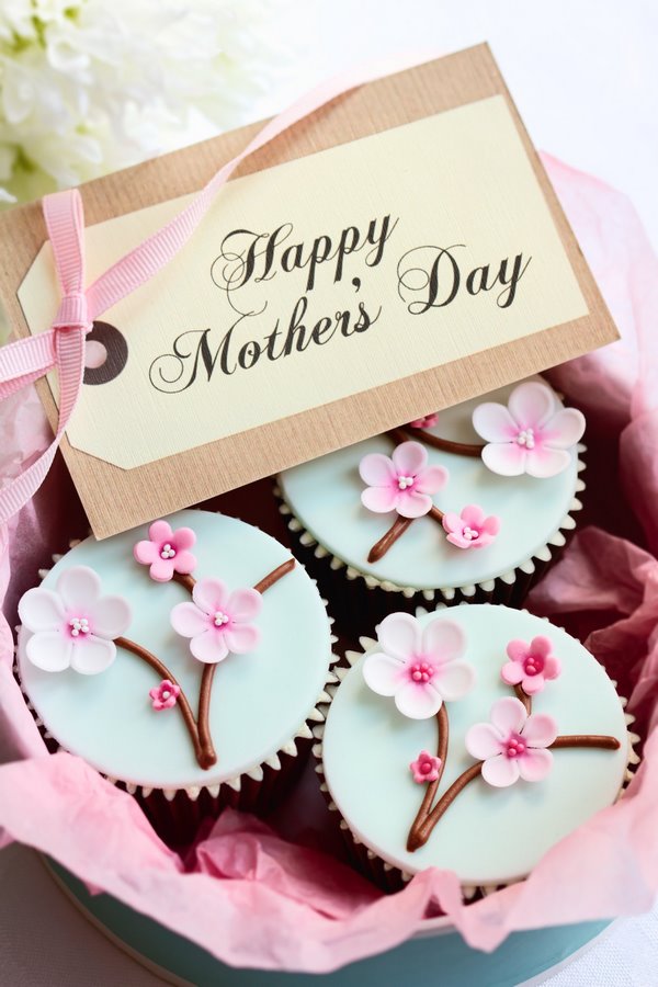 mothers day gift ideas spring decoratred cupcakes