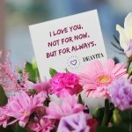 romantic-quotes-and-cards-for-girlfriend-wife-I-love-you-not-for-now