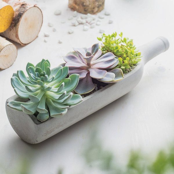 super cool DIY bottle planter with succulents