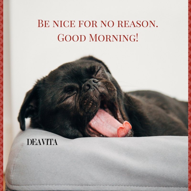 the best good morning quotes be nice for no reason