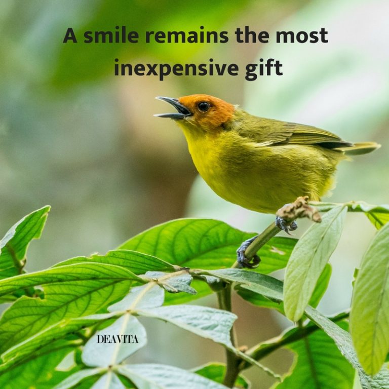 A smile remains the most inexpensive gift