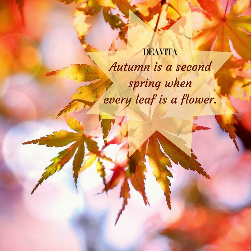Autumn quotes short inspirational sayings