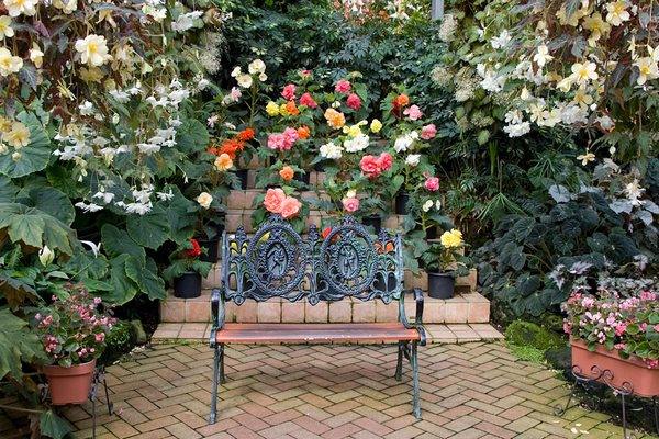 Begonia-garden-ideas-backyard-retreat