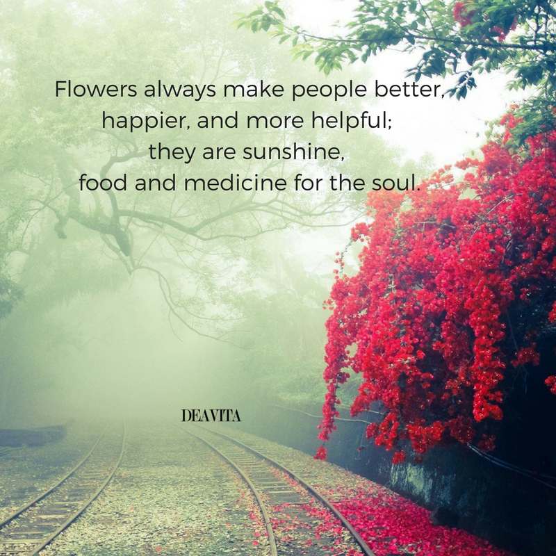Flowers and happiness quotes with photos