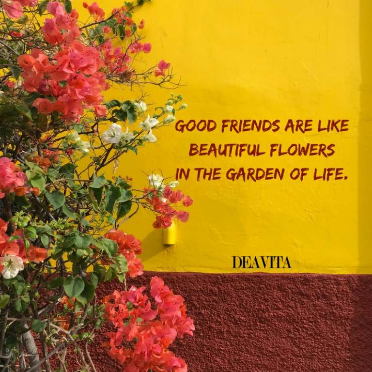 Good friends quotes and sayings with photos
