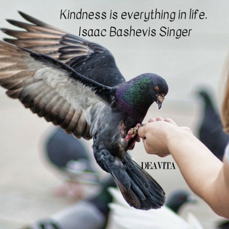 Kindness is everything in life