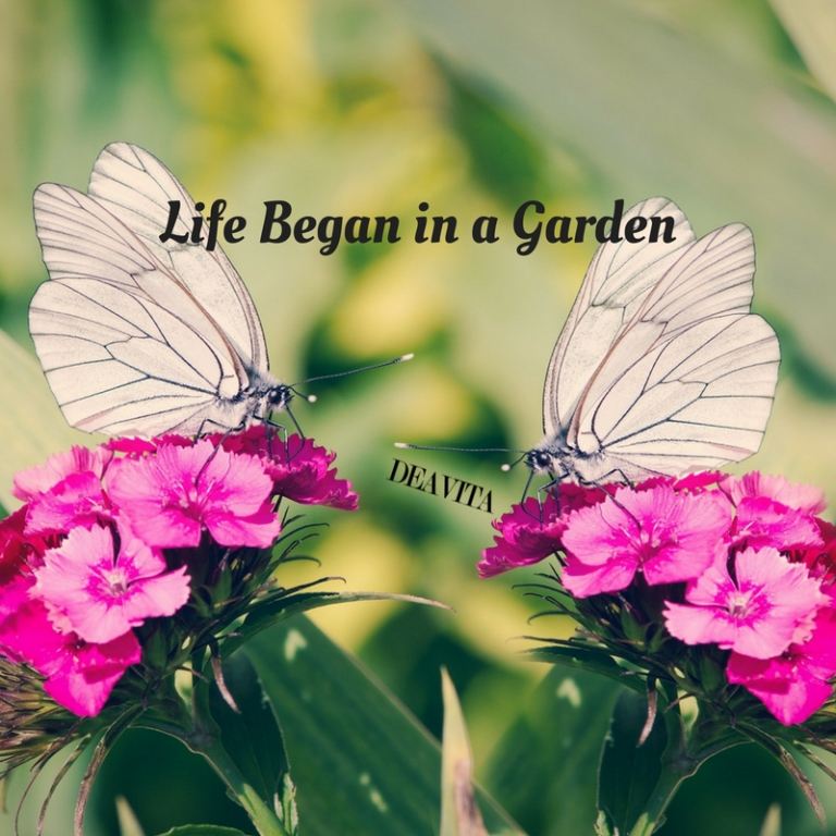 Life began in a garden short inspirational quotes