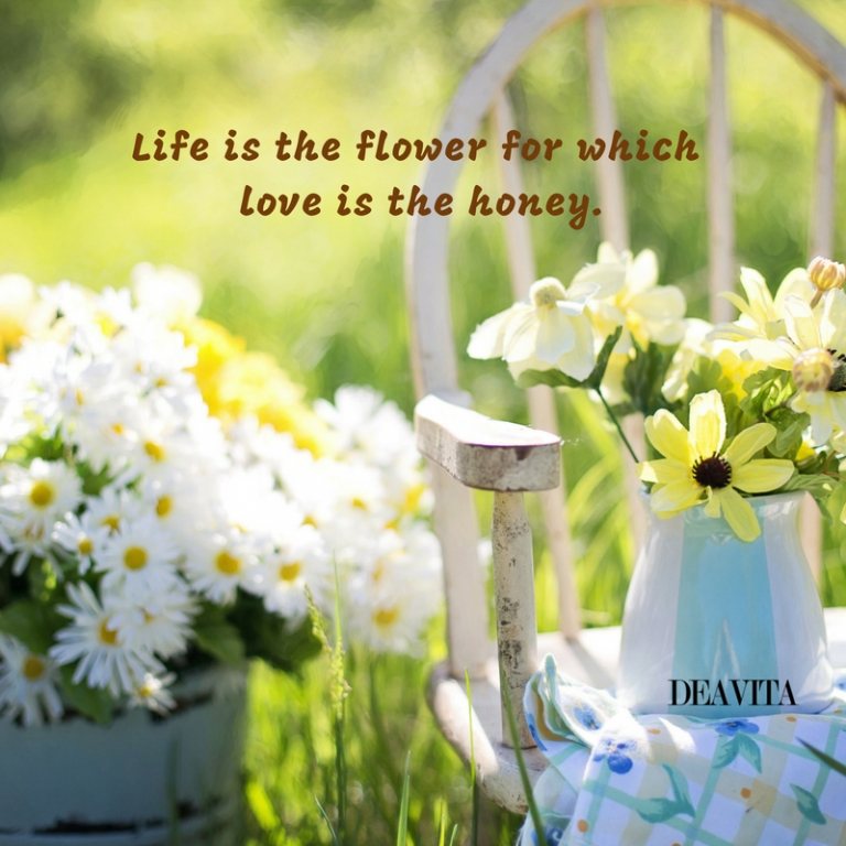 16++ Inspirational Quotes About Life And Flowers - Audi Quote