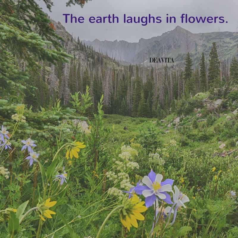 The earth laughs in flowers nature quotes