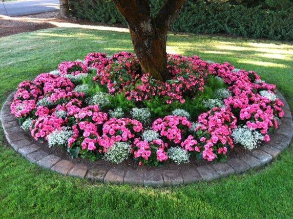 beautiful-spring-plants-curb-appeal-ideas