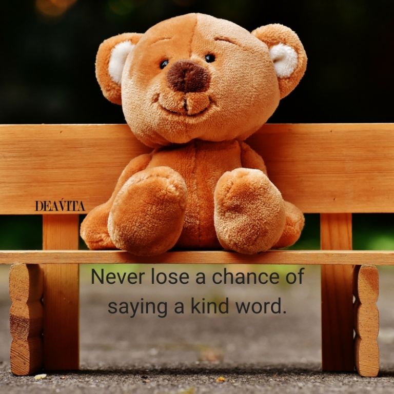 best sayings and quotes Never lose a chance of saying a kind word