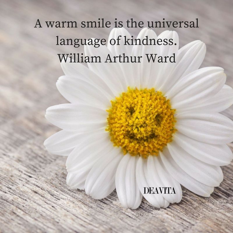cool and fun kindness and smile quotes with cards