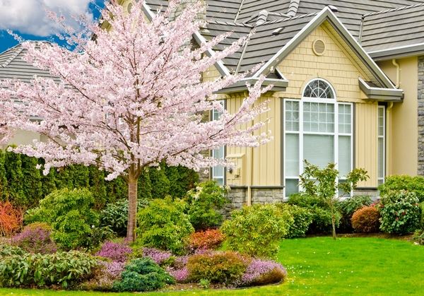 curb appeal and DIY landscaping ideas