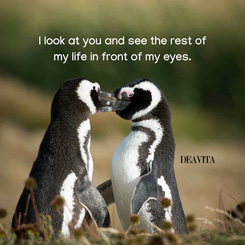 cute adorble photos with quotes about love