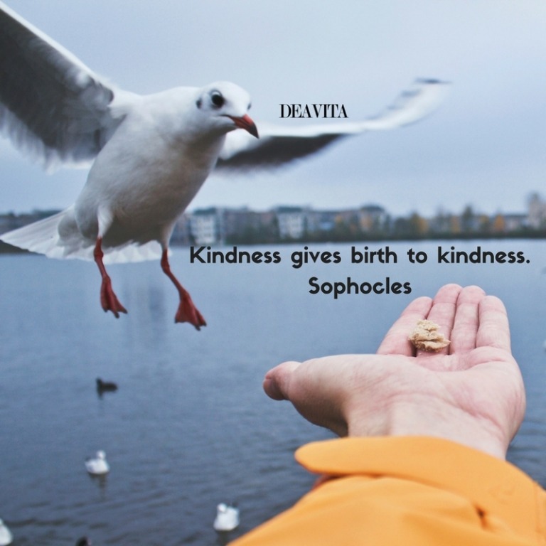 deep quotes Kindness gives birth to kindness