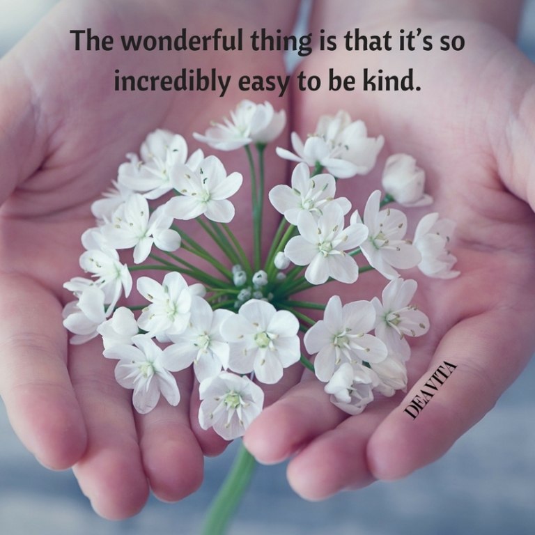 easy to be kind quotes texts sayings