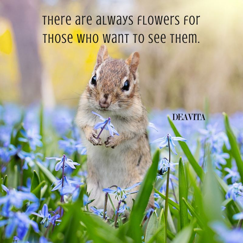 flowers and nature short quotes