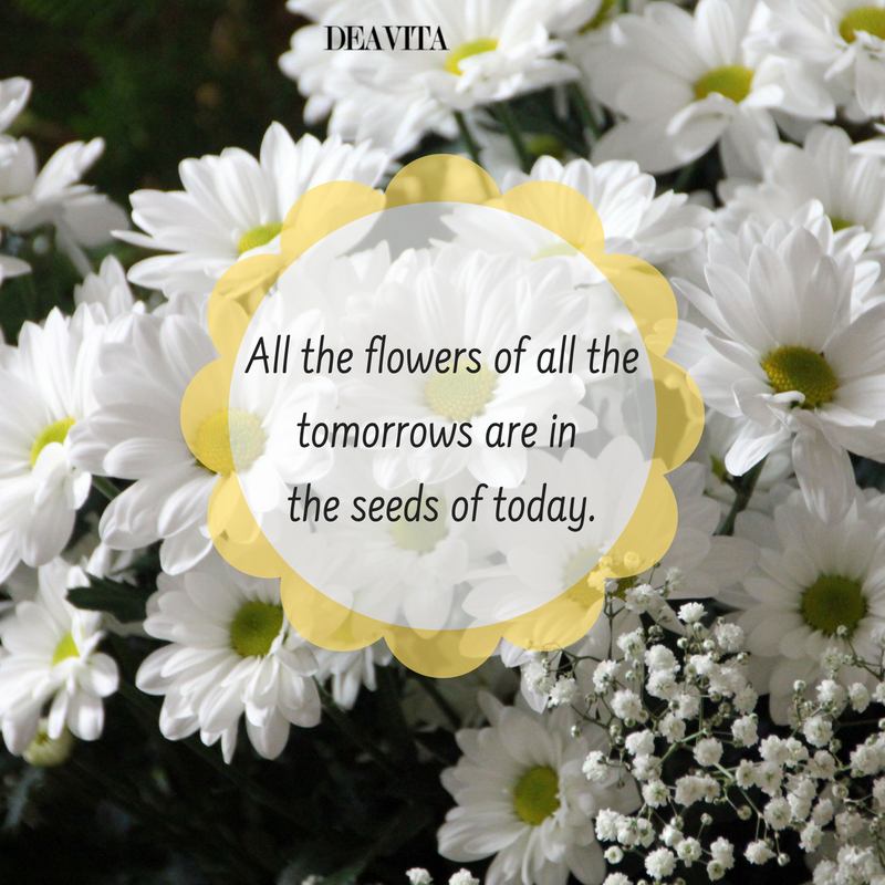 flowers cards and short inspirational quotes