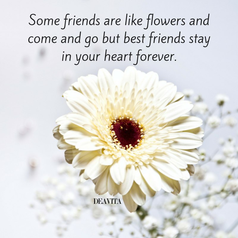 friends and flowers short quotes with photos best friends cards