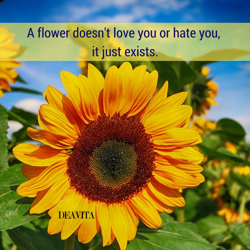 short deep quotes about flowers