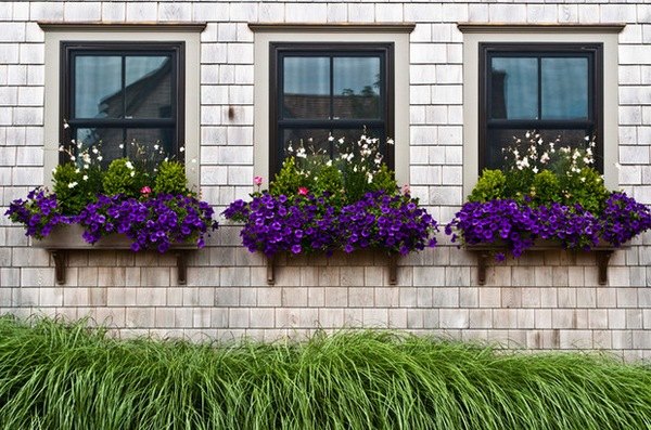 house exterior design ideas easy DIY projects window boxes