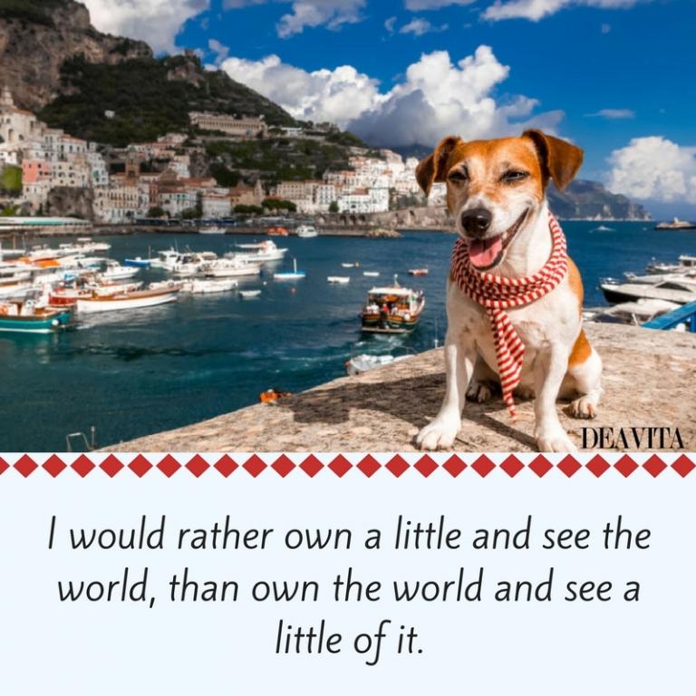 inspirational sayings about traveling with cute photos