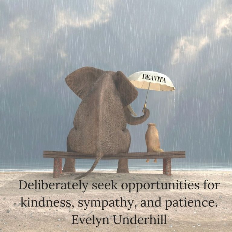 kindness sympathy patience quotes
