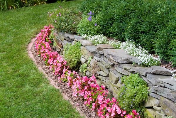 retaining wall garden bed begonias