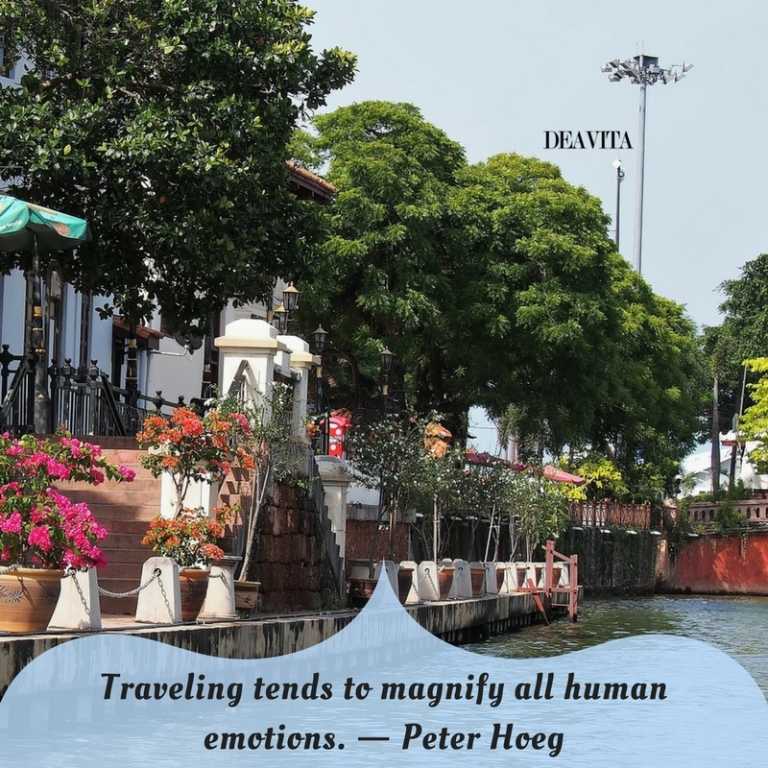 sayings about life traveling tends to magnify all human emotions