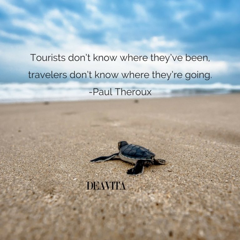 travelers quotes and sayings with photos