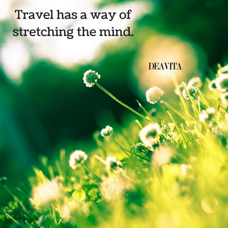 wise sayings about adventure Travel has a way of stretching the mind