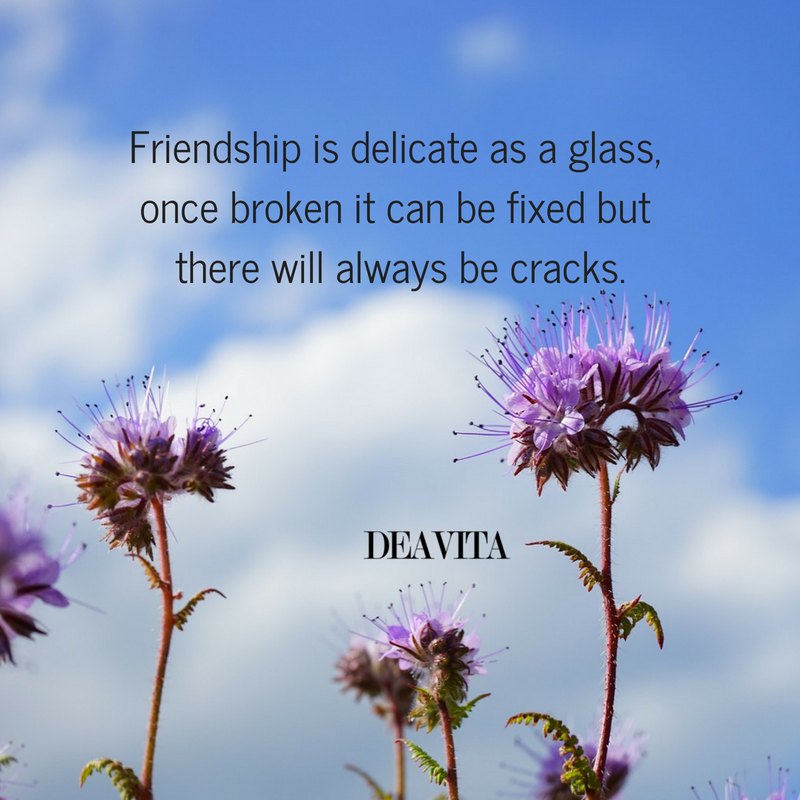 Friendship and attitude quotes life sayings