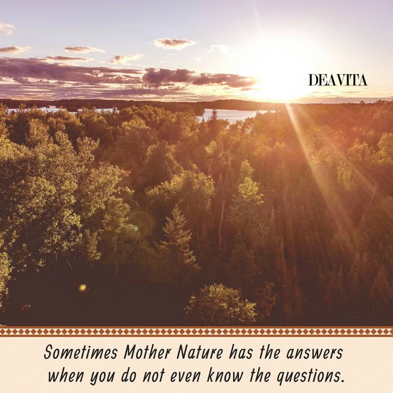 Mother Nature questions and answers cards