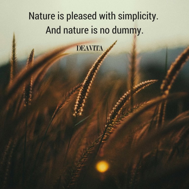 Nature and simplicity beautiful photos and wise quotes