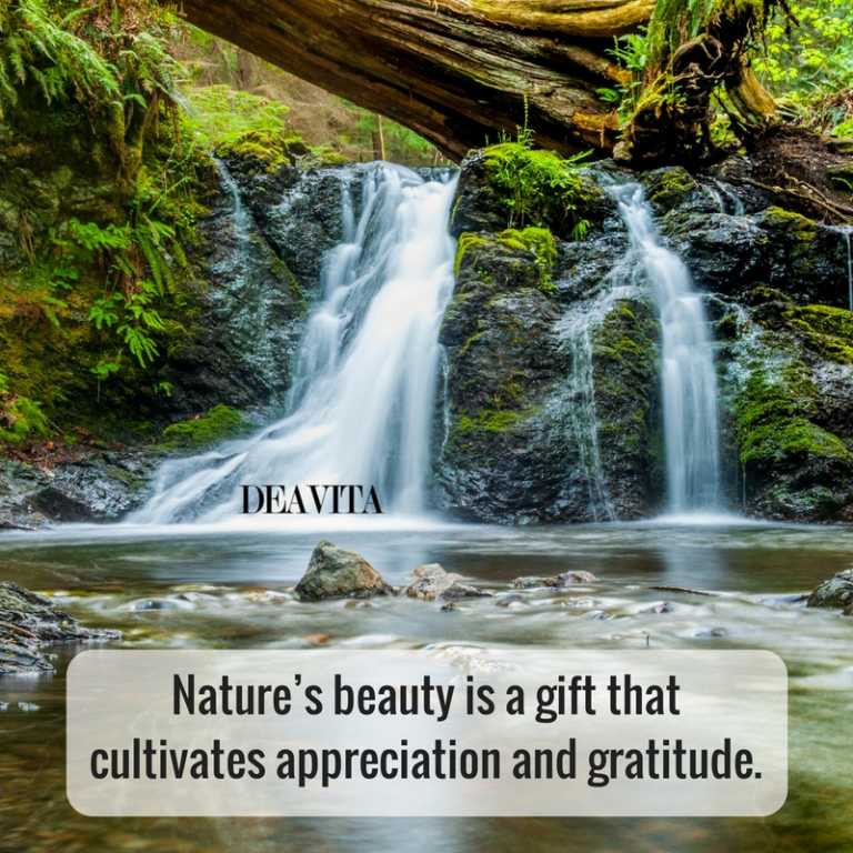 Nature beauty and gratitude quotes