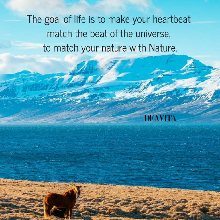 The goal of life universe and nature sayings
