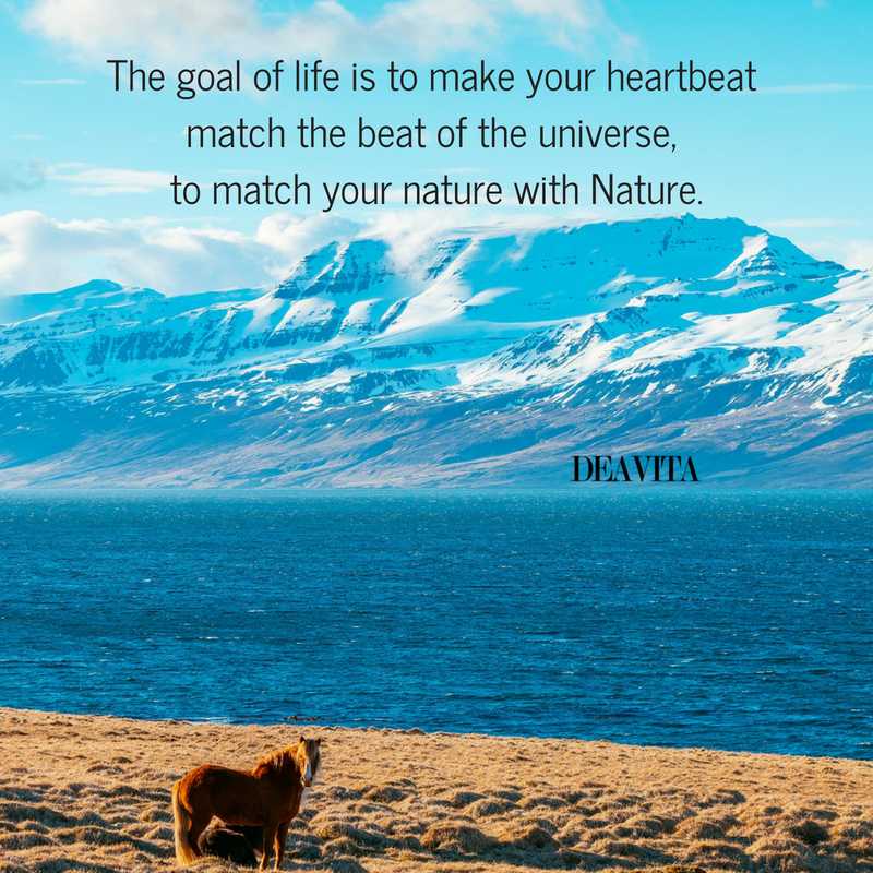The goal of life universe and nature sayings